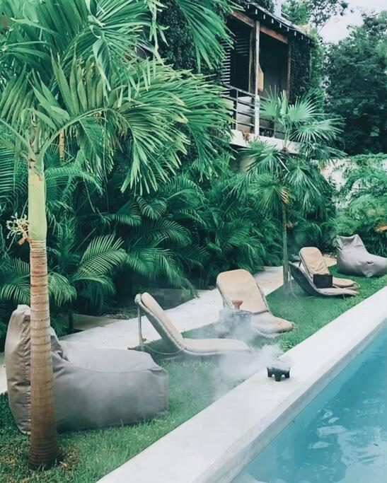 Apartment Oasis In Hippest Part Of Tulum