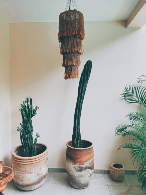 Oasis In Hippest Part Of Tulum