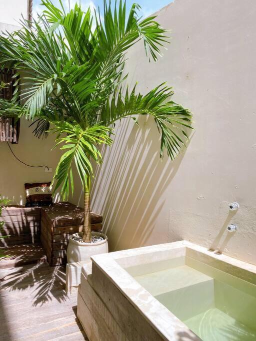 Apartment Oasis In Hippest Part Of