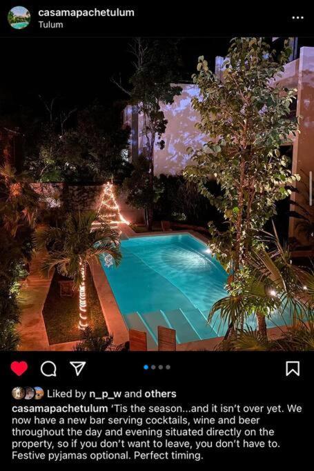Oasis In Hippest Part Of Apartment Tulum