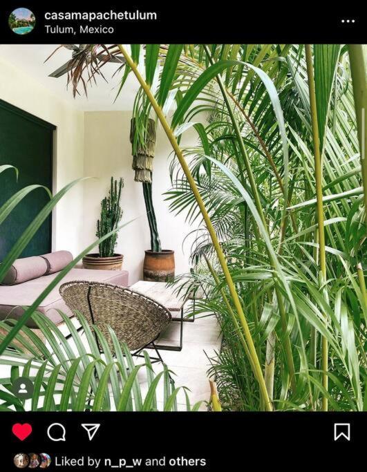 Apartment Oasis In Hippest Part Of